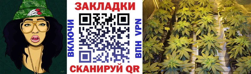 Псилоцибиновые грибы Ивантеевка