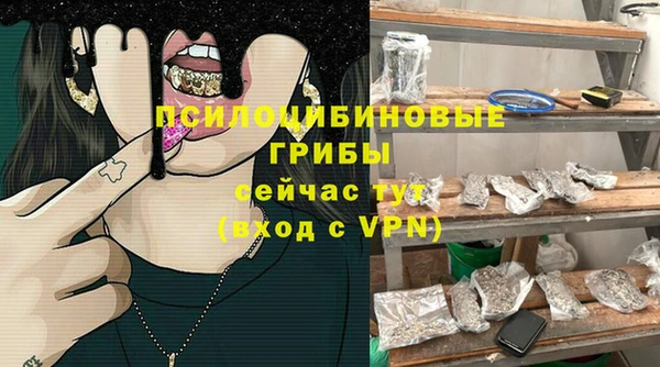 PSILOCYBIN Инта
