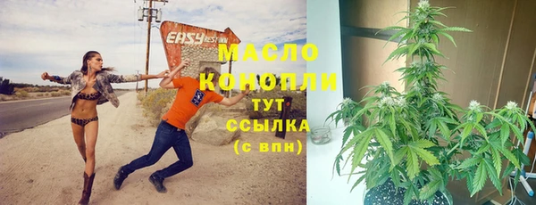 PSILOCYBIN Инта