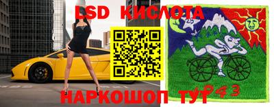 меф Гатчина