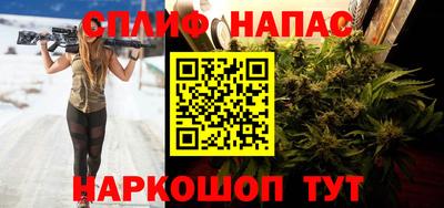 a pvp Гагарин