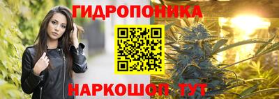 a pvp Гагарин