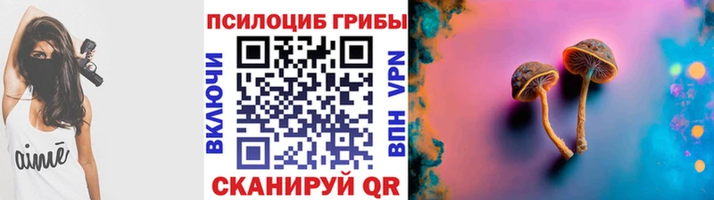 Галлюциногенные грибы Psilocybe  Ивантеевка 