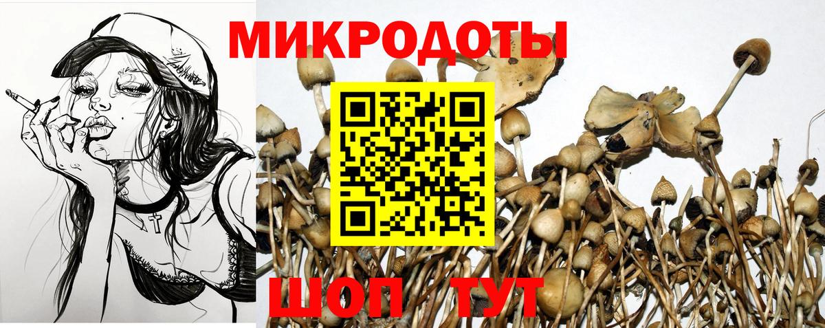 Псилоцибиновые грибы Psilocybe  Псилоцибиновые грибы мицелий  Ивантеевка 