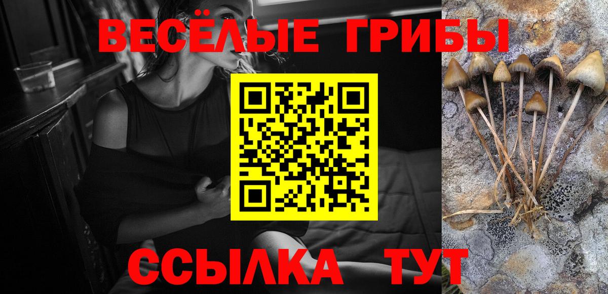 Ивантеевка  Галлюциногенные грибы GOLDEN TEACHER  продажа наркотиков  Вход с VPN 